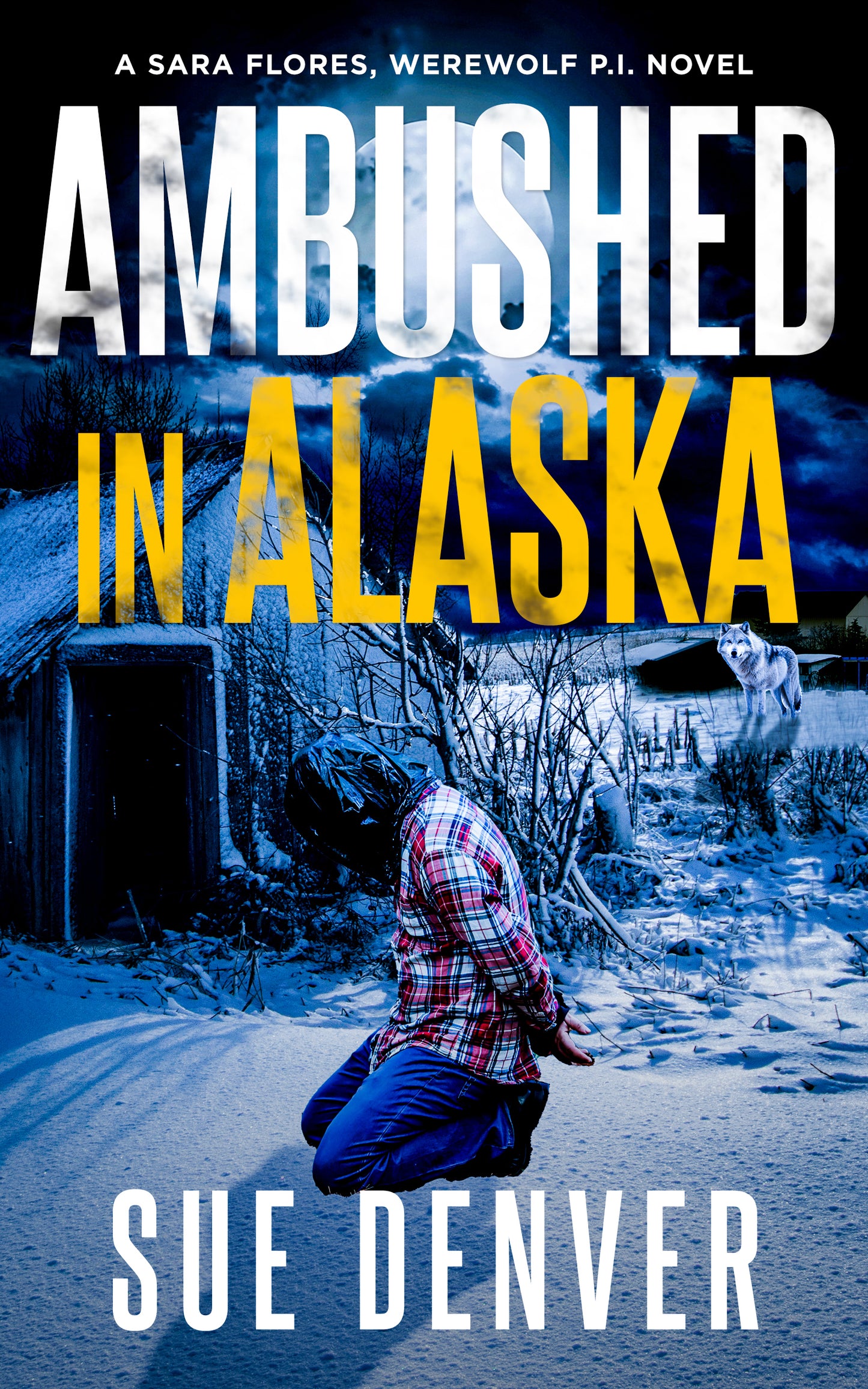 Ambushed in Alaska - Just published!